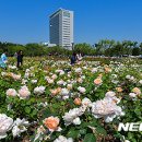 서구 조형벤치 이미지