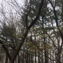 주도어촌체험휴양마을 이미지