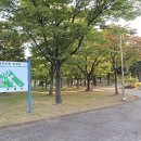 용하공원 2주차장 이미지