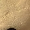 설맥부산