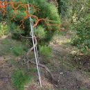 연철농장 이미지