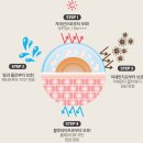 사임당화장품 파주지사 | 사임당화장품의 여름 필수템 4종 리뷰