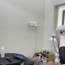 하비나 코지 이미지