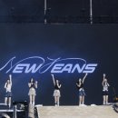 롤링버니즈 이미지