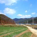 박태산 이미지