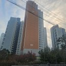 강남-276 이미지