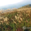 세심정공원내 이미지