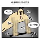 곰방와 이미지