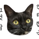 그루밍 타임 이미지