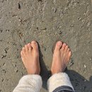 오시아노골프장 | 해남 오시아노해수욕장~목포 청호시장 초원의집 도다리회