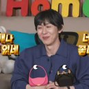 코쿤스토리 이미지