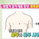 연정3