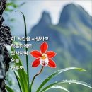 멋진하루 이미지