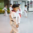 한미태권도 이미지