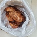 라메르 갯벌 이미지