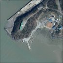 원투 피시 이미지