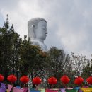 골든카서비스 | 다낭 바나힐 투어 자유여행 케이블카 골든브릿지 스톤마사지