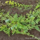 나미송머무는곳 민박 이미지