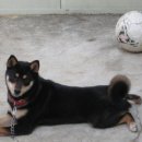 봉곡동010 이미지