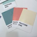 해브피피(HavePP) 이미지