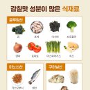 감칠맛 종류와 해당 식재료 이미지