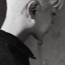 딸기미용실 이미지