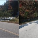 녹전로(녹전면) 이미지