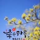 행복한하루 이미지