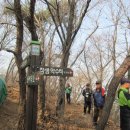 웅남동264 이미지