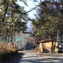 솔밭체육공원 이미지