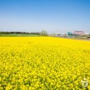 동군산현대서비스(주) 이미지