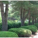 학성초등학교 이미지