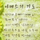 야베스 Daum카페