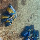 쥐똥섬펜션 이미지