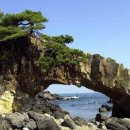 (주)남양관광