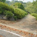 경기도청소년수련원 야외 화장실 이미지