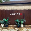 만족하개 | [경기/파주] 서울근교 프라이빗 공간대여, 반려동물 동반 풀빌라 &#39;포레스트멍&#39;