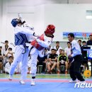 태권도충효체육관 이미지