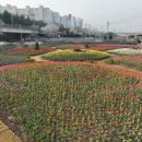 낙동강관리본부 화명생태공원 11 이미지