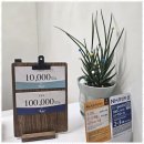 힐링바스 이미지