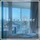 로즈마리 | 제주 서귀포 숙소 로즈마리 펜션: 트렌디하고 깨끗한, 제주 숙소 솔직 후기