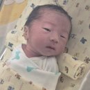 건국대학교병원 제왕절개/응급제왕 후기 (+전신마취, 호흡곤란)