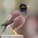 태광오피스텔3 이미지