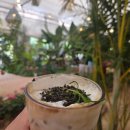 두렁바위 가든 | 화성 더포레 숲속 작은마을 같은 분위기 좋은 베이커리 카페 결혼식 주차가능 맛집