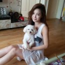 탕탕탕 이미지
