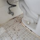 송현약품 이미지