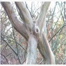 봉동참숯찜질방 이미지