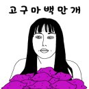 라라여행 이미지