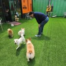 하남대로302번길 이미지