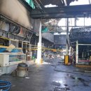 영덕시장 이미지